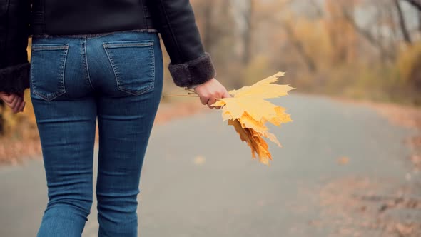 Yellow Maple Leaf In Hand. Dry Fallen Leaf In Hand. Cold Autumn Day. Yellow Autumn Leaves.