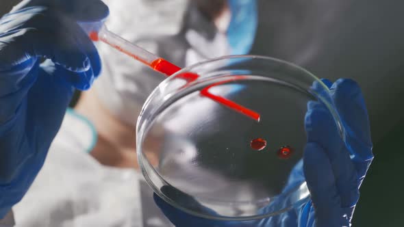 Female Medical Research Scientists Adding Pipette Dropping a Colored Liquid To Petri Dish To Conduct