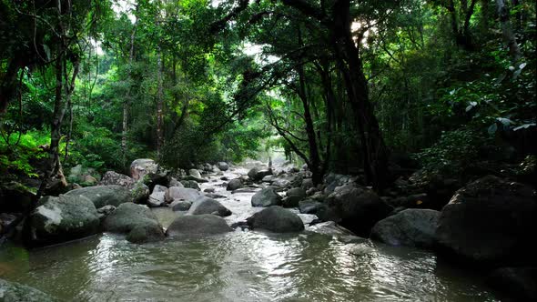 River in a dense tropical rainforest jungle in Ko Samui, Thailand