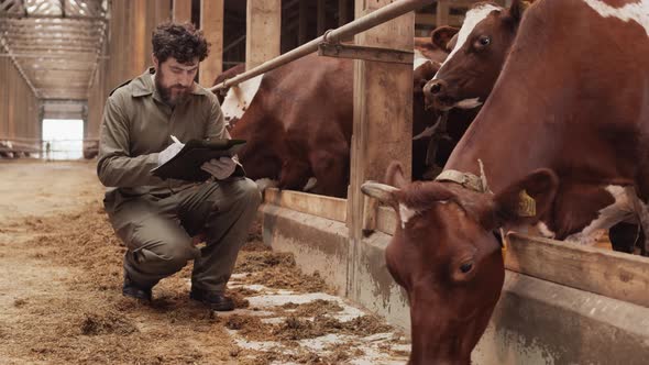 Farmer Taking Notes in Cowshed