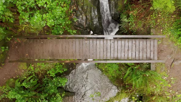 Scenic Wooden Bridge Above Mountain River Creek Top Down Bridge in Rain Forest