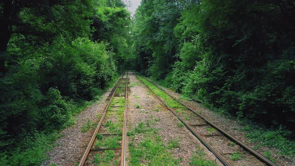 Railway Road Formed In Unique Natural Tunnel In Forest