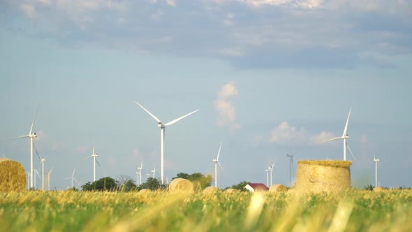 Green Wheat Field in Motion with Wind Turbines in the Background