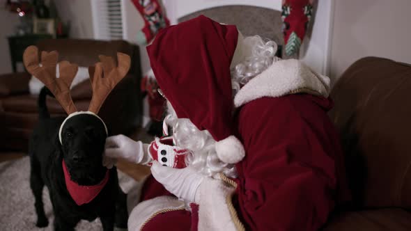 Santa Feeding Dog Candy Cane