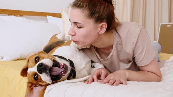 Girl Affectionately Playing with Pet Cute Dog Beagle on the Bed