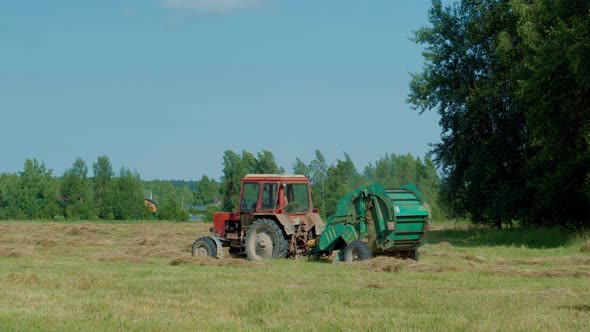 Round Baler Discharge Round Fresh Hay Bale During Agricultural Harvesting in Field