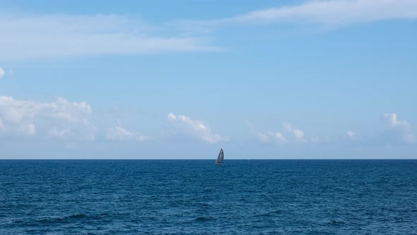 Sail boat at the horizon in the sea. Wind boat at summer in the ocean. Travel, vacation. Sailboat tr