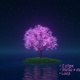 Single Blooming Pink Tree in the Ocean. Night - VideoHive Item for Sale