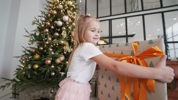 Charming Little Girl Holds a Gift on a Background of Christmas Trees