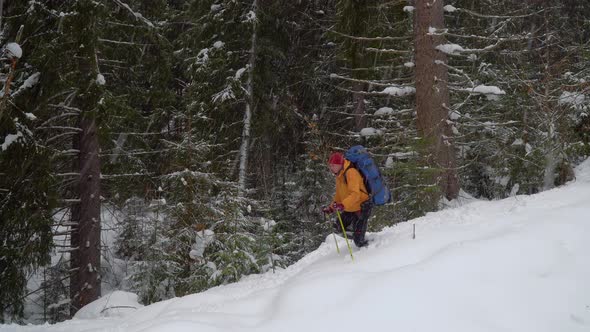 Backpacker Hiking in Winter Forest