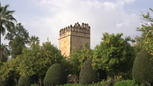Tower of the Lions behind trees