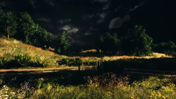 Thunderstorm Clouds with Lightning in Green Meadow