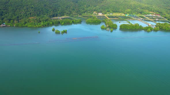 An island-shaped mangrove forest in the middle of a river mouth near the sea.