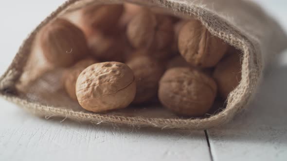 Walnuts in shell rolling out of burlap bag. Slow Motion.