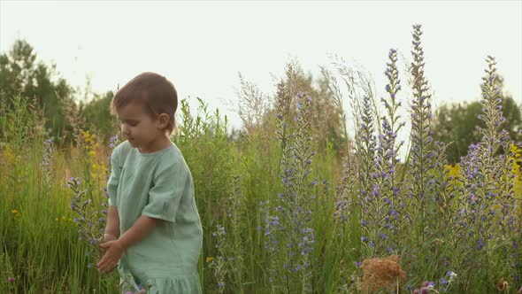 Little Girl Playing with Wild Flowers