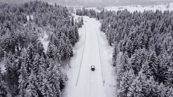 Aerial View of the snowed tree and car riding inside it