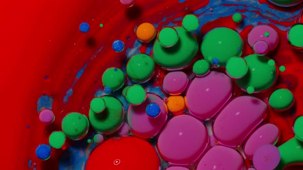 Fantastic Structure of Colorful Oil Paint and Ink Bubbles Chaotic Motion Abstract Colorful Paint