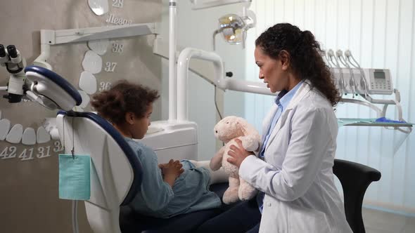 Positive Woman Dentist Communicating with Patient