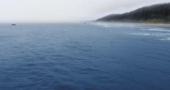 Drone shot of gray whale fountain on the coast in Ruby Beach, Olympic National Park, Washington, USA