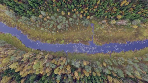 Beautiful aerial view of a river in the boreal wilderness. Sliding slowly, camera pointing straight