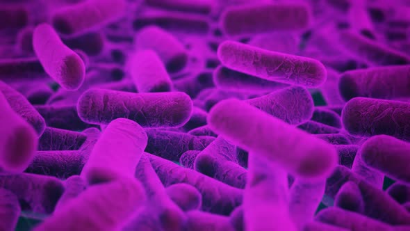 Clusters of bacteria floating in fluid. Clostridium, E-coli, salmonella.