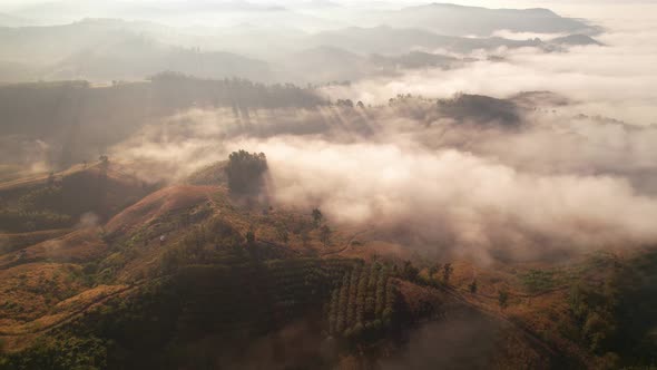 Aerial view of sunrise with fog above mountains. Golden hour and amazing sun rays. Nan, Thailand