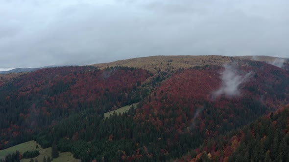 Aerial shot of red and orange colored autumn forest under an overcast sky