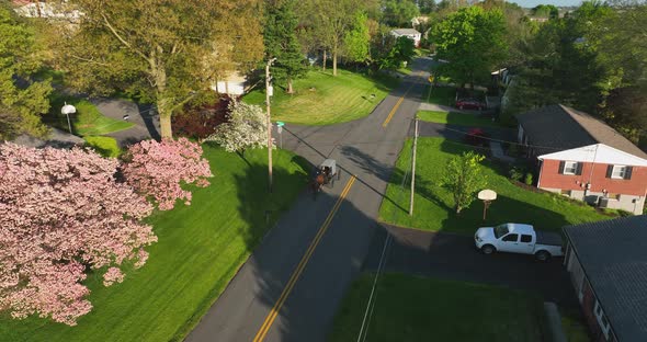 Amish horse and buggy carriage. Aerial in spring. Long shadows in golden hour light. Anabaptist Plai