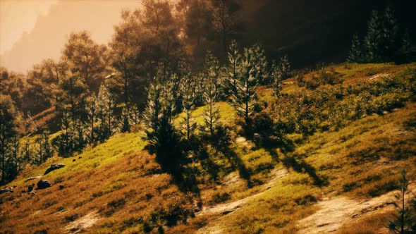 Autumn Morning with Fog in Mountains