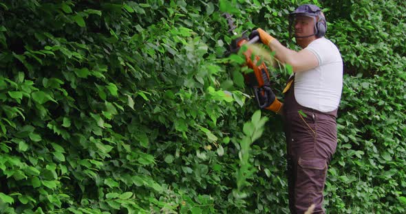 Man Shaping Bushes with Electric Trimmer at Garden