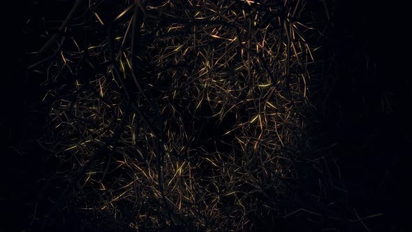 Flying In Death Forests 04 4K alt