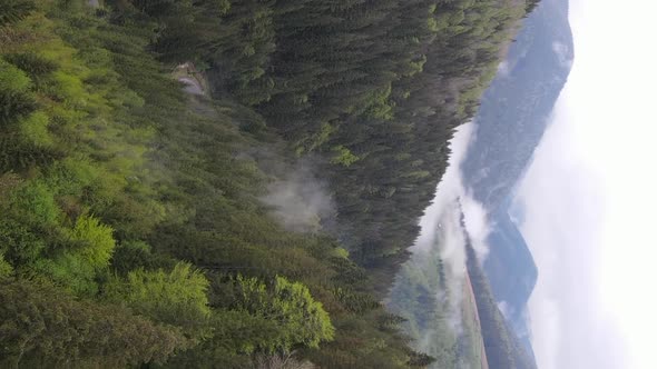 Vertical Video Carpathian Mountains