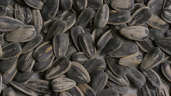 Cinematic, rotating shot of sunflower seeds on a white surface - SUNFLOWER SEEDS 004