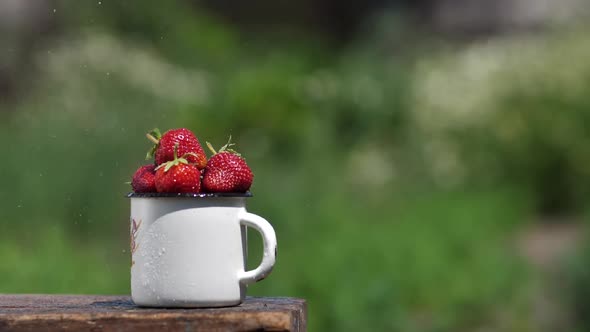 Drops of Water Fall on the Red Berries of Ripe Strawberries in a Mug in the Garden