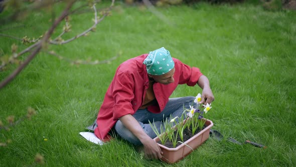 High Angle View of Happy African American Young Man Smelling Beautiful Blooming Flowers in Pot