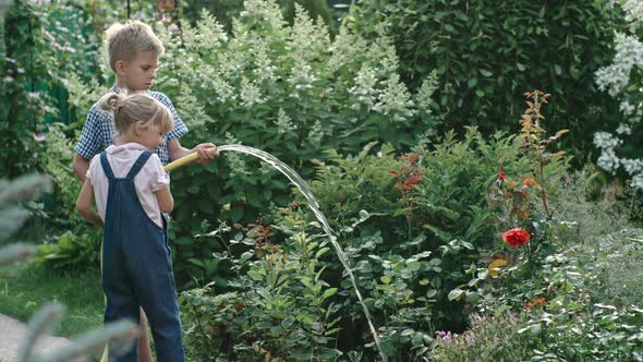 Little Children Watering Plants with Garden Hose alt