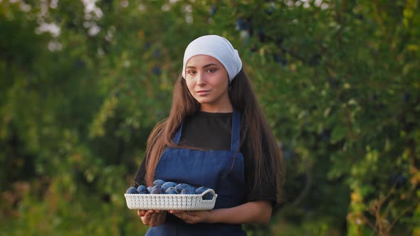 Portrait of Young Woman in Apron Standing with Basket of Fresh Plums
