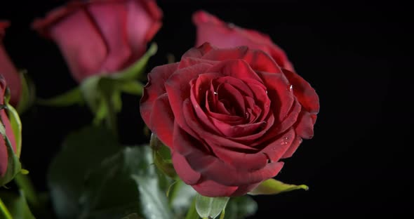 Rose Bouquet on Table