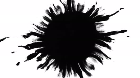 Super Slow Motion Shot of Black Ink Drop Isolated on White Background at 1000 Fps