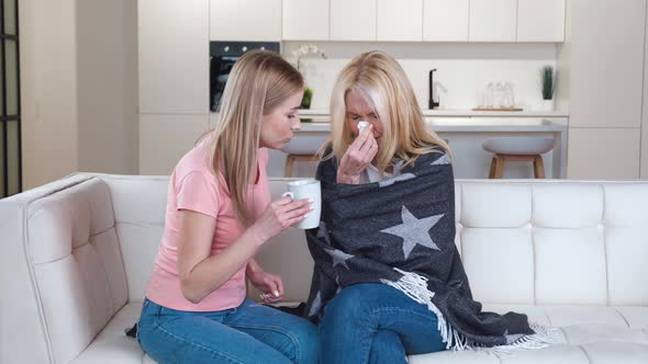 Loving Grownup Daughter Gives Her Sick Mother Hot Tea with Medicine