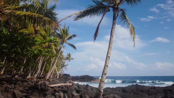 Shoreline of Hawaii Time Lapse