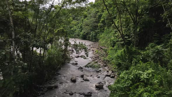 Drone flying through thick rainforest along a riverbank in Alajuela, Costa Rica. 4k aerial footage o