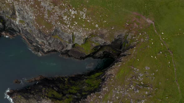 Aerial Birds Eye Overhead Top Down View of Rugged Sea Coast