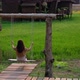 Slow motion of a woman sitting and chilling on wooden swing near by the rice field - VideoHive Item for Sale