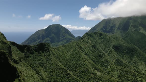 Aerial view of evergreen rainforest on the top of the mountain in Maui, Hawaii