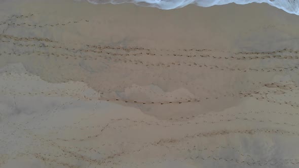 Aerial ascending top down view of footprints on Matadouro beach and waves breaking on sea shore