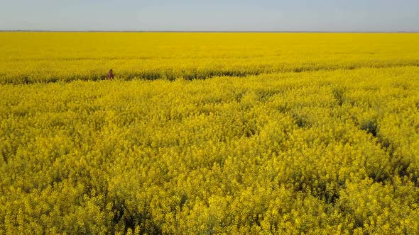 Purposeful Girl Running in a Yellow Rapeseed Field on a Sunny Day