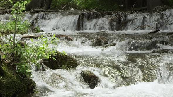 Mountain river flowing through branches and green leaves.