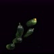 Flying Cucumbers on a Black Background - VideoHive Item for Sale