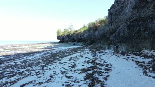 Zanzibar Tanzania  Empty Beach on the Ocean